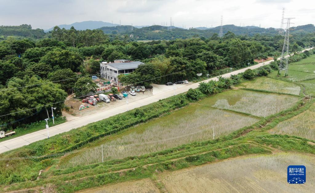 金沙注单是7